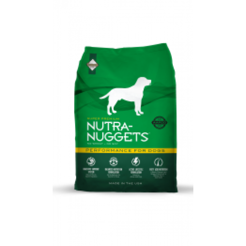 NN_Performance-500x500